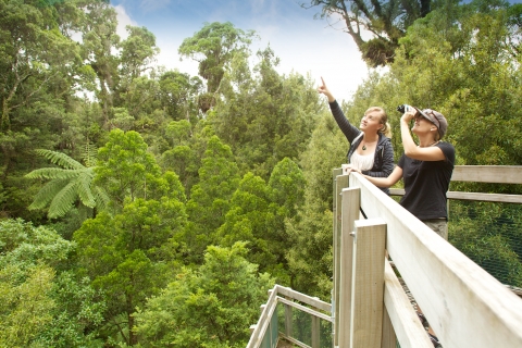 Sanctuary Mountain Maungatautari